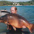 moby-carpexl