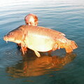 carpes-015