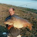 Carpe miroir de la Forêt d'Orient.