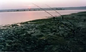Lac de la Forêt d'Orient