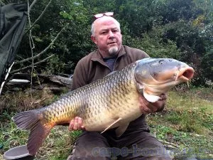 Carpe commune 20-7kg Fades