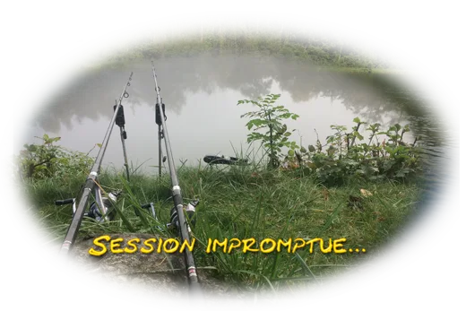 Session carpe en Eure-et-Loir