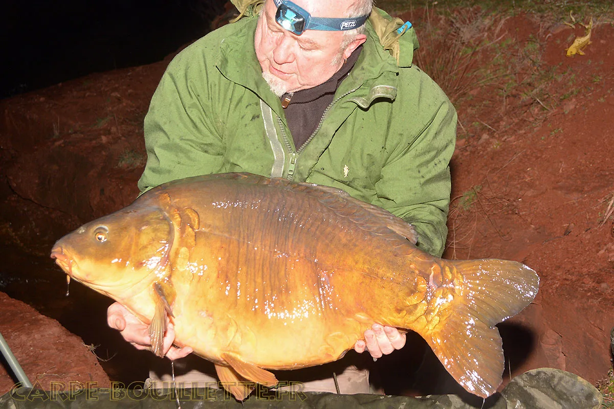 Carpe miroir du lac du Salagou